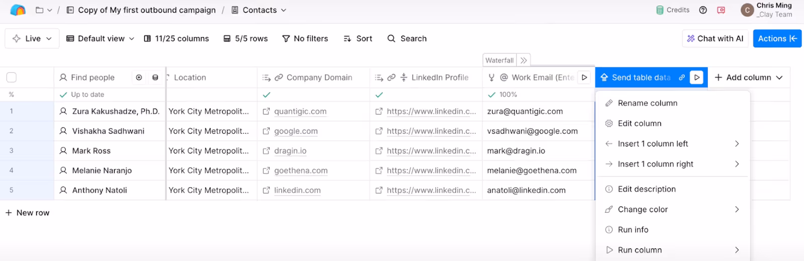 Campaign table in Clay