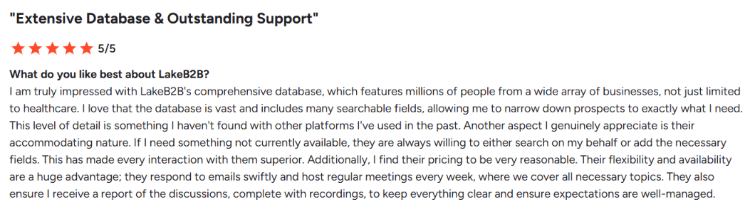 LakeB2B G2 review about large database