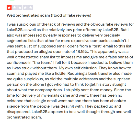 LakeB2B trustpilot review about email