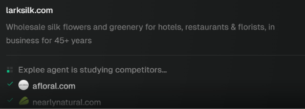 An example of Explee agent studying competitors