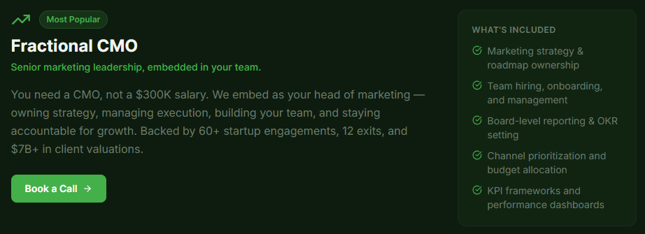 Fractional CMO Service