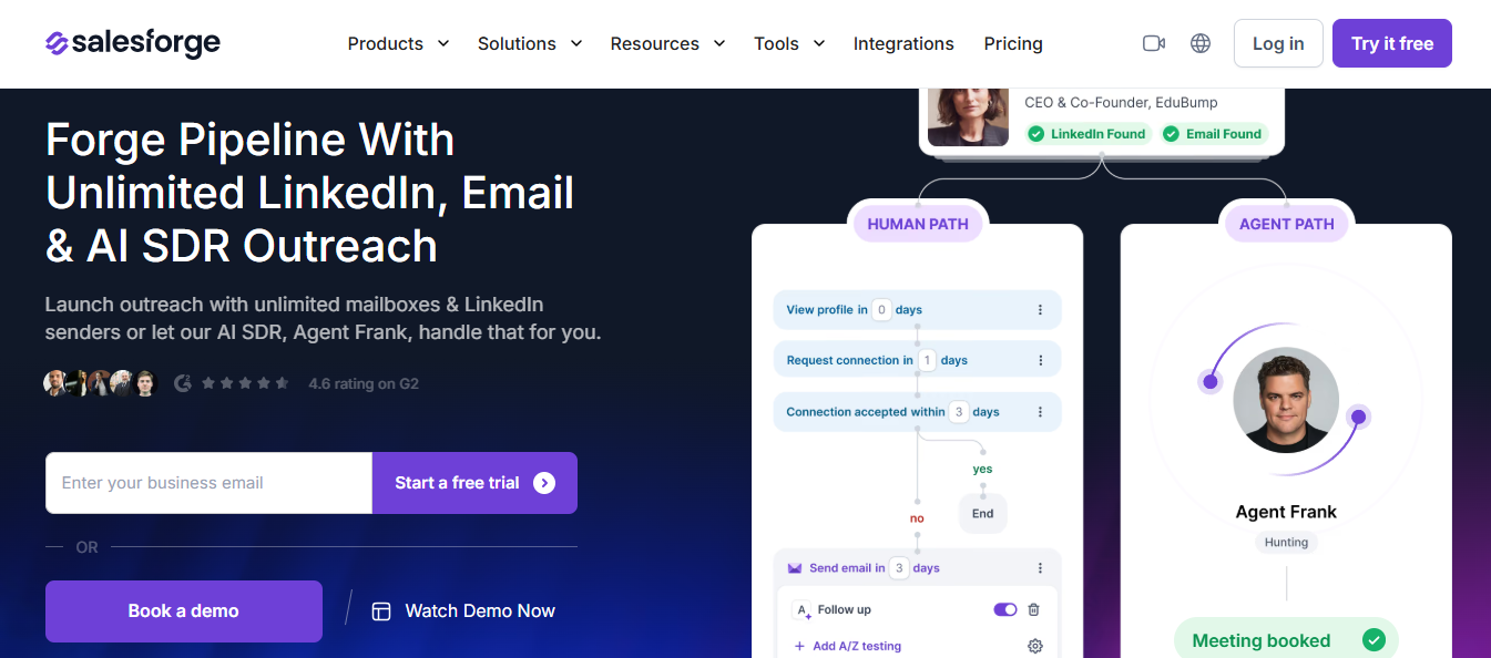 Salesforge homepage