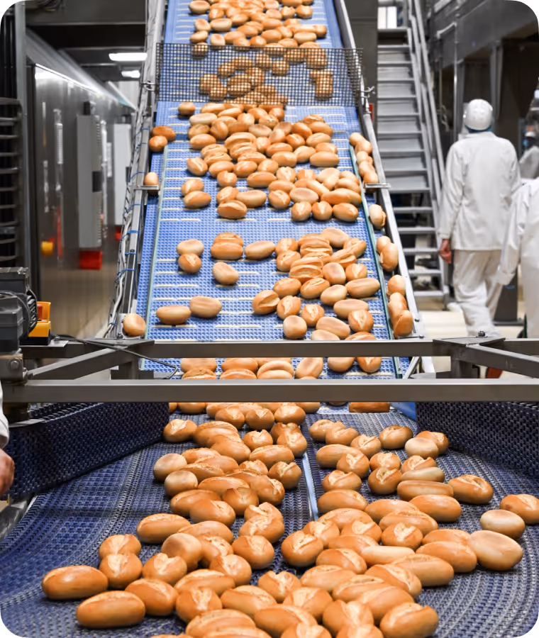 fritz-kola Gründer Mirco Wiegert hält Zuckerrübe auf einem Feld in die Luft
