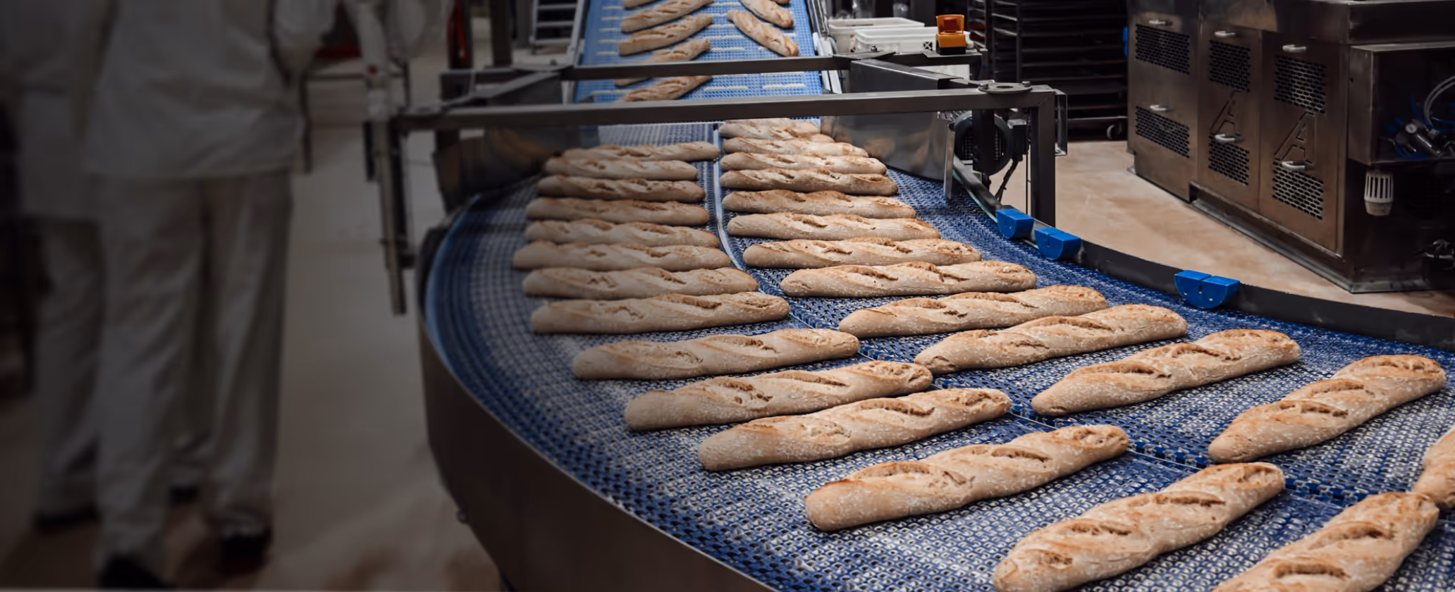 Landwirt, fritz-kola Gründer und Mitarbeiterin von Klim stehen auf einem Zuckerrübenfeld und halten Zuckerrübe in den Händen