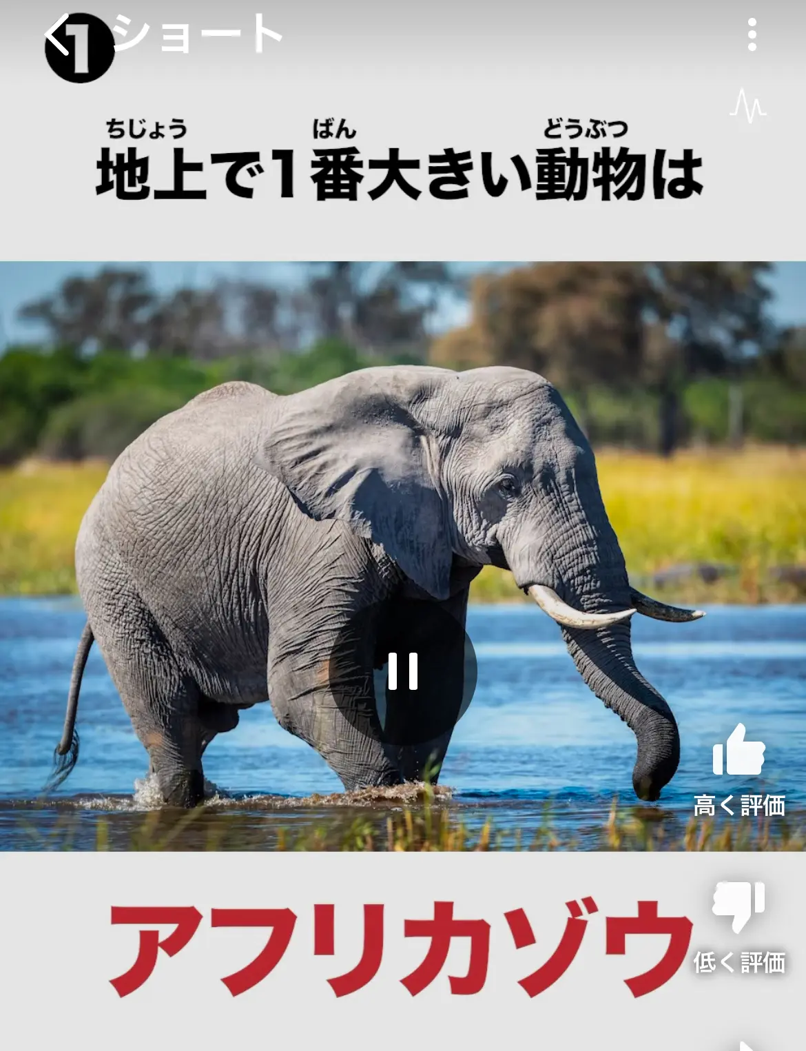 ショート動画へのリンク