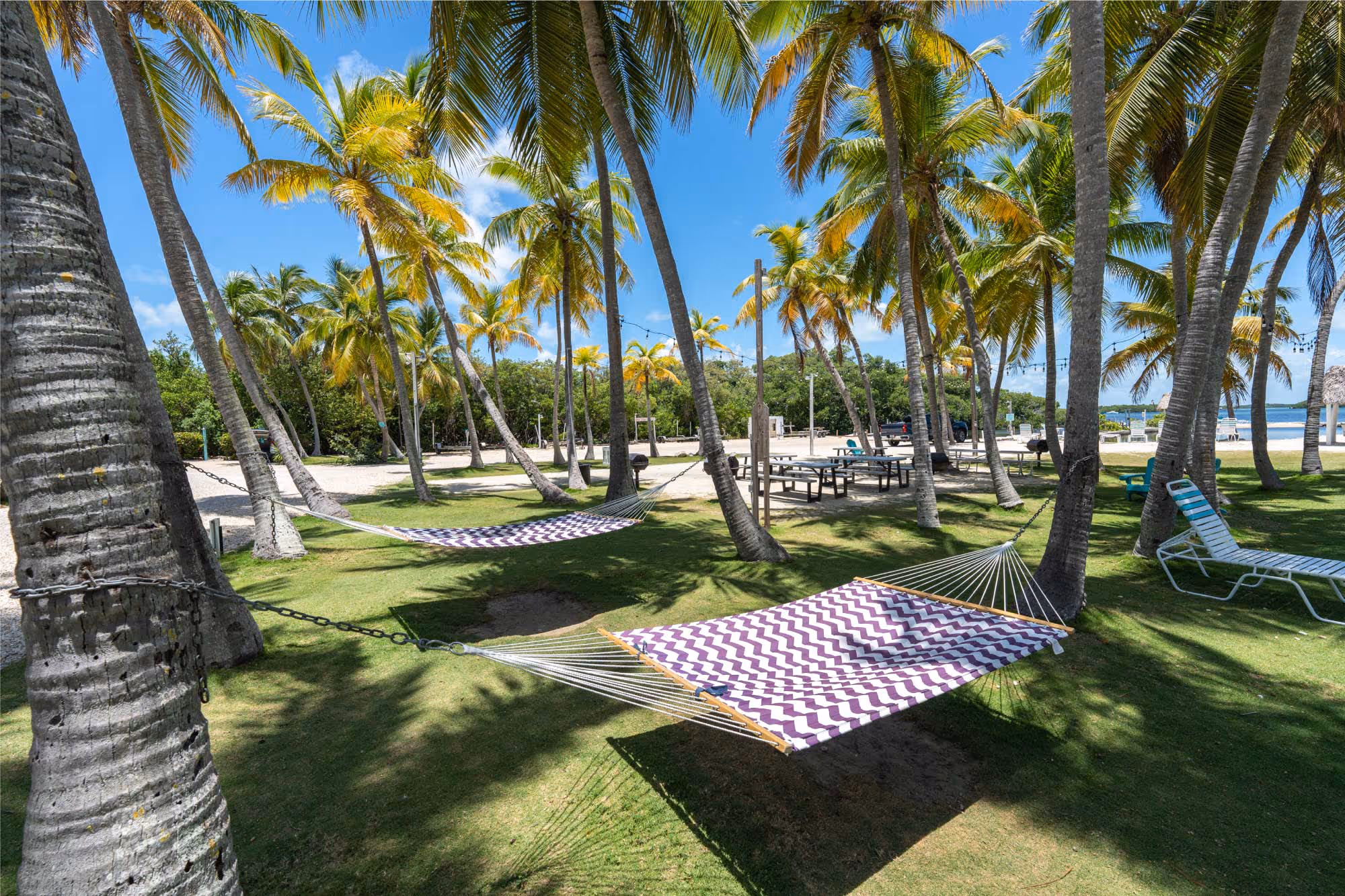 Kon Tiki Resort hammock and palm trees in Islamorada.