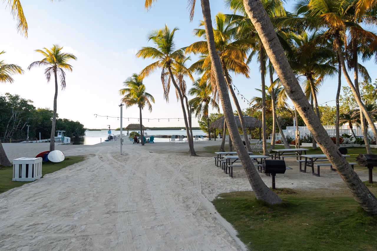 The Kon Tiki Resort lawn area and beach area with large palms and lounge chairs.