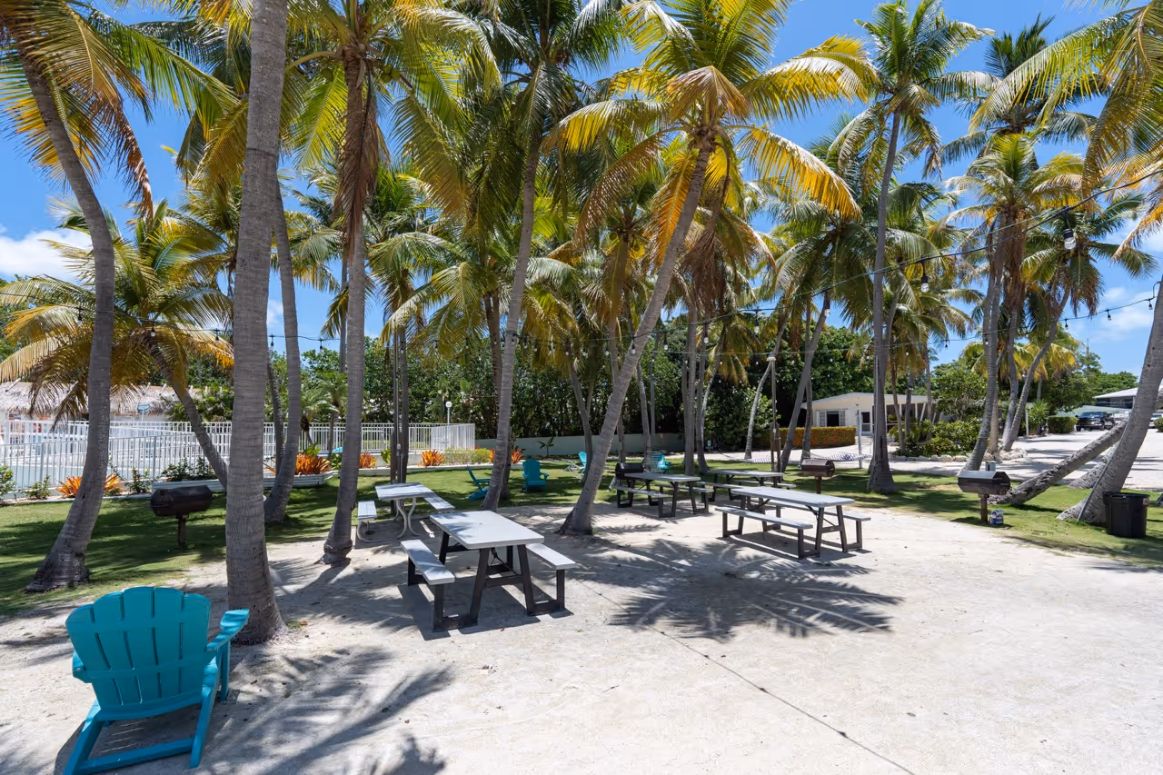 The Kon Tiki Resort beach area with large palms and lounge chairs.