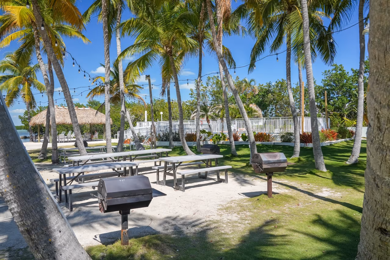 Picnic area at Kon Tiki Resort with picnic tables and grills, surrounded by palms.
