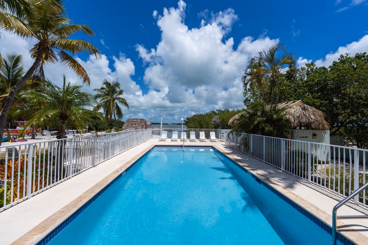 The Kon Tiki Resort pool surrounded by palms.