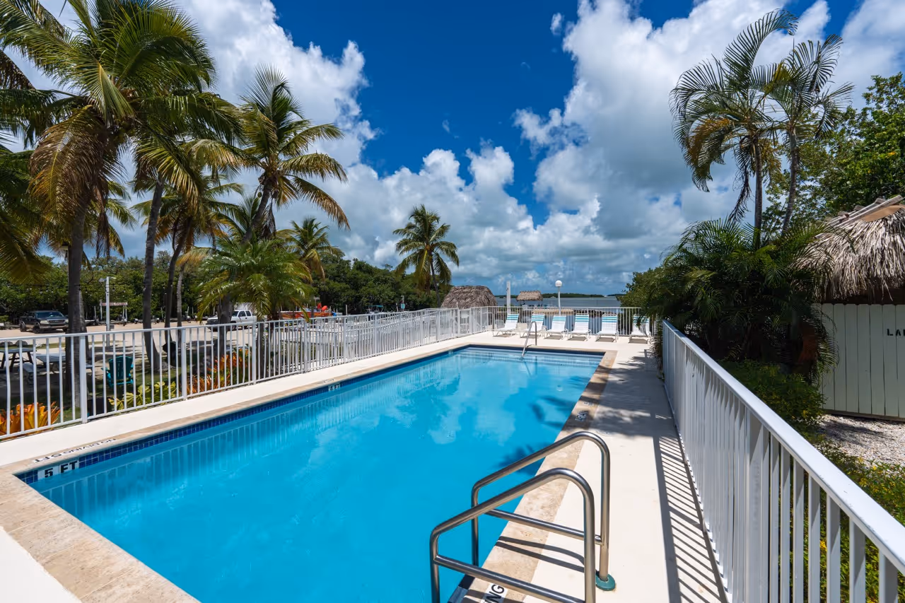 Aerial view of the Kon Tiki Resort pool surrounded by palms.