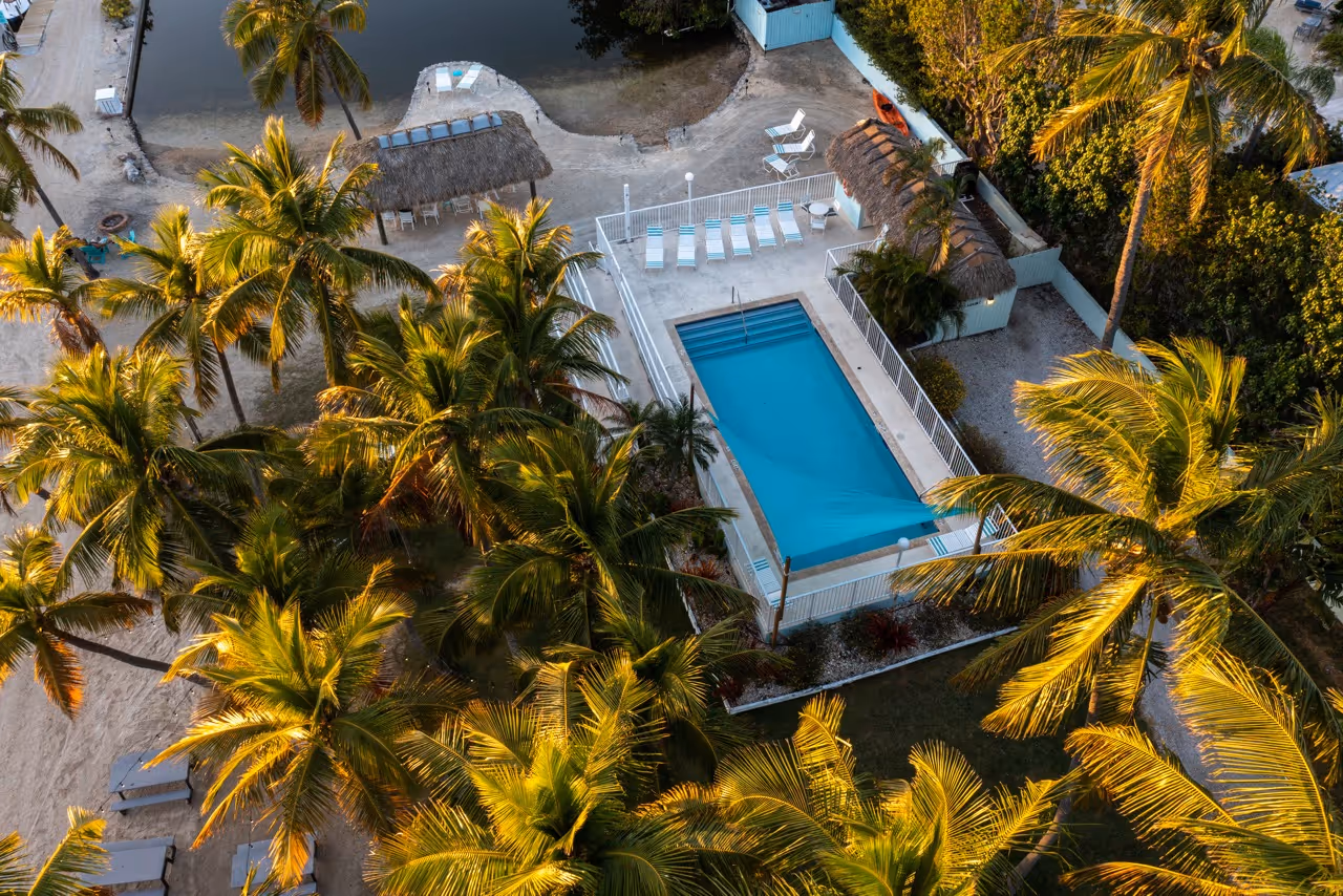 Aerial view of the Kon Tiki Resort pool surrounded by palms.