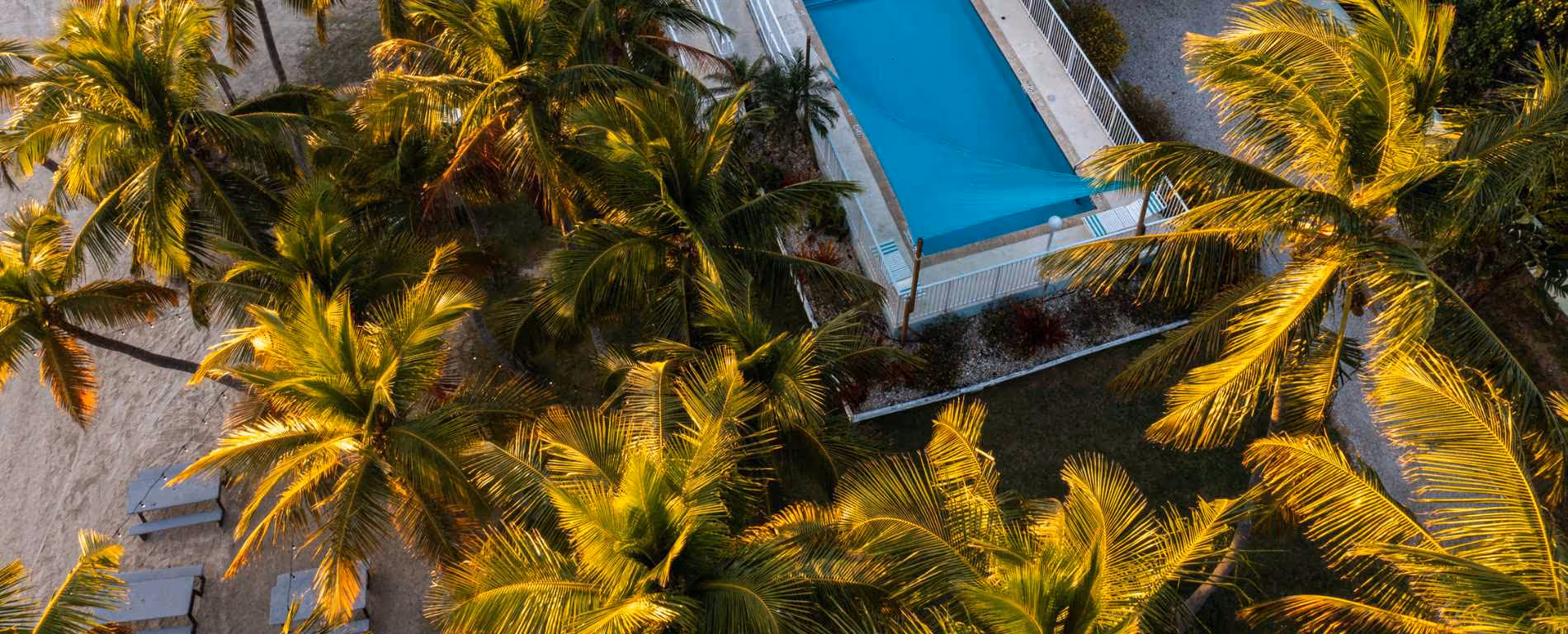 Private Beach Cottages with Pools in Islamorada surrounded by palm trees on the water.