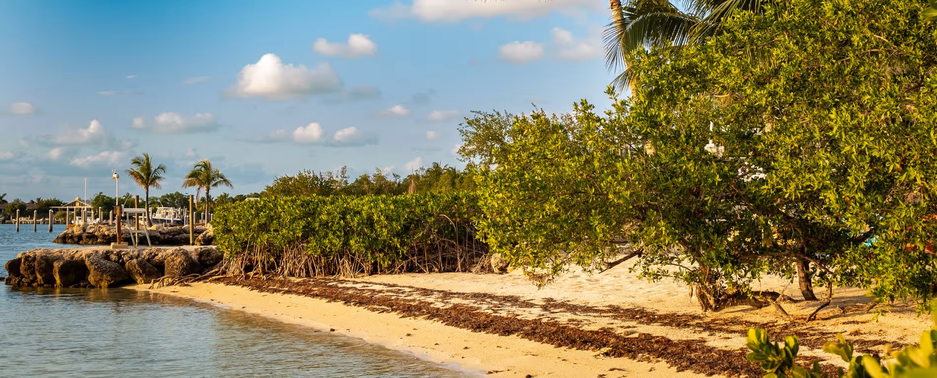 Islamorada Beach