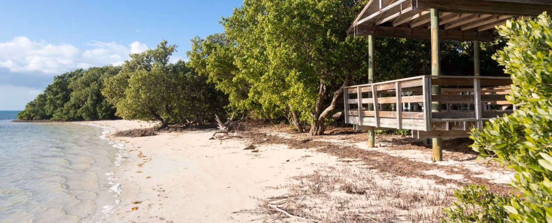A Local’s Guide to the Best Public Beaches in Islamorada