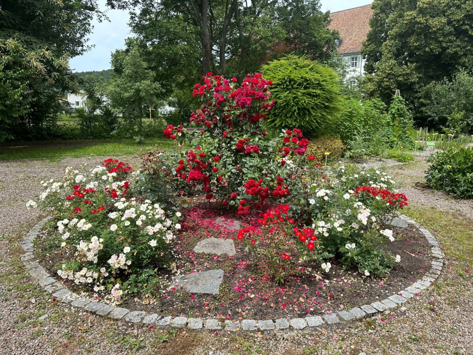 Giardino delle erbe Klosterhotel Mariastein