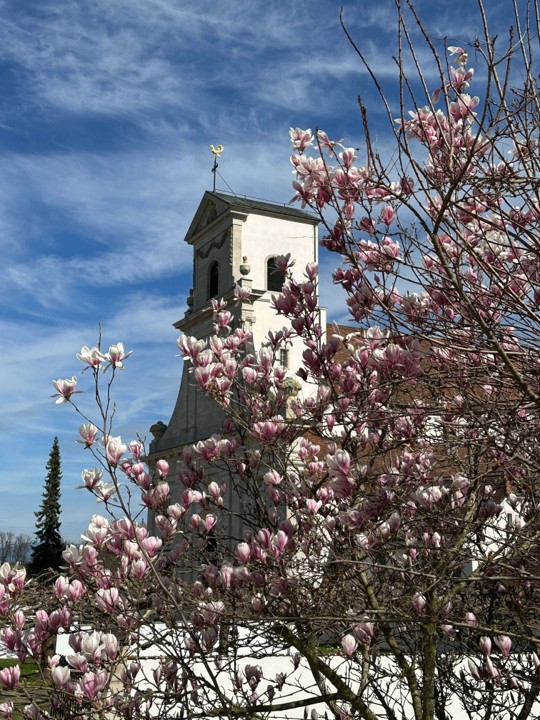 Giardino delle erbe Klosterhotel Mariastein