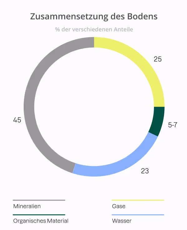 Kreisdiagramm: Anteil von Mineralien, Gasen, Wasser und organischem Material am Boden