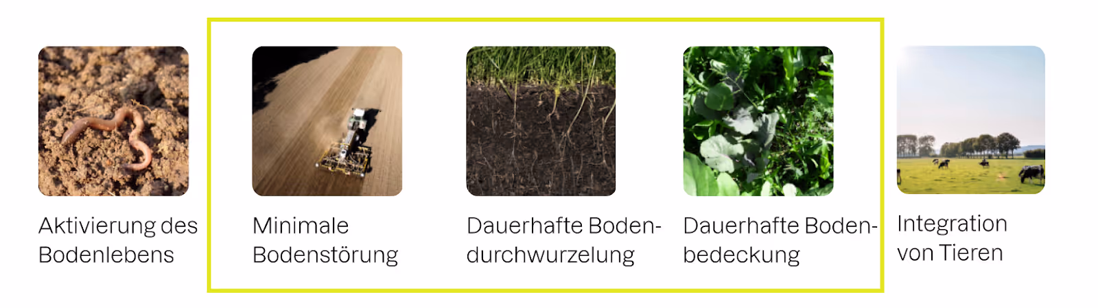 Fünf Prinzipien der Regenerativen Landwirtschaft im Schaubild