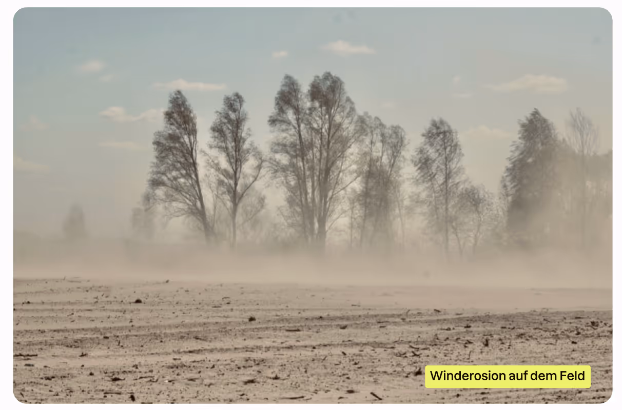 Winderosion auf einem brachen Feld