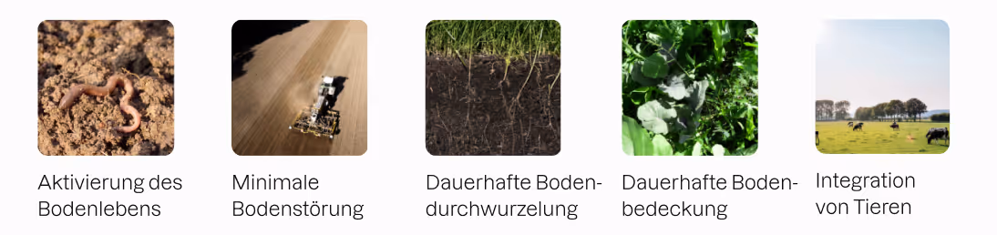 Prinzipen der Regenerativen Landwirtschaft