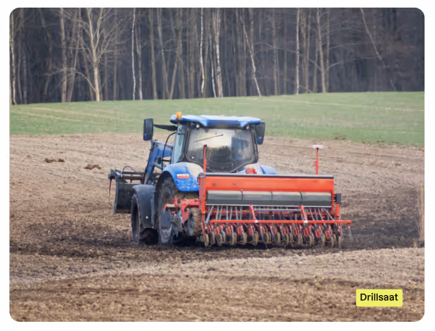Drillsaat: Maschine bei der Arbeit
