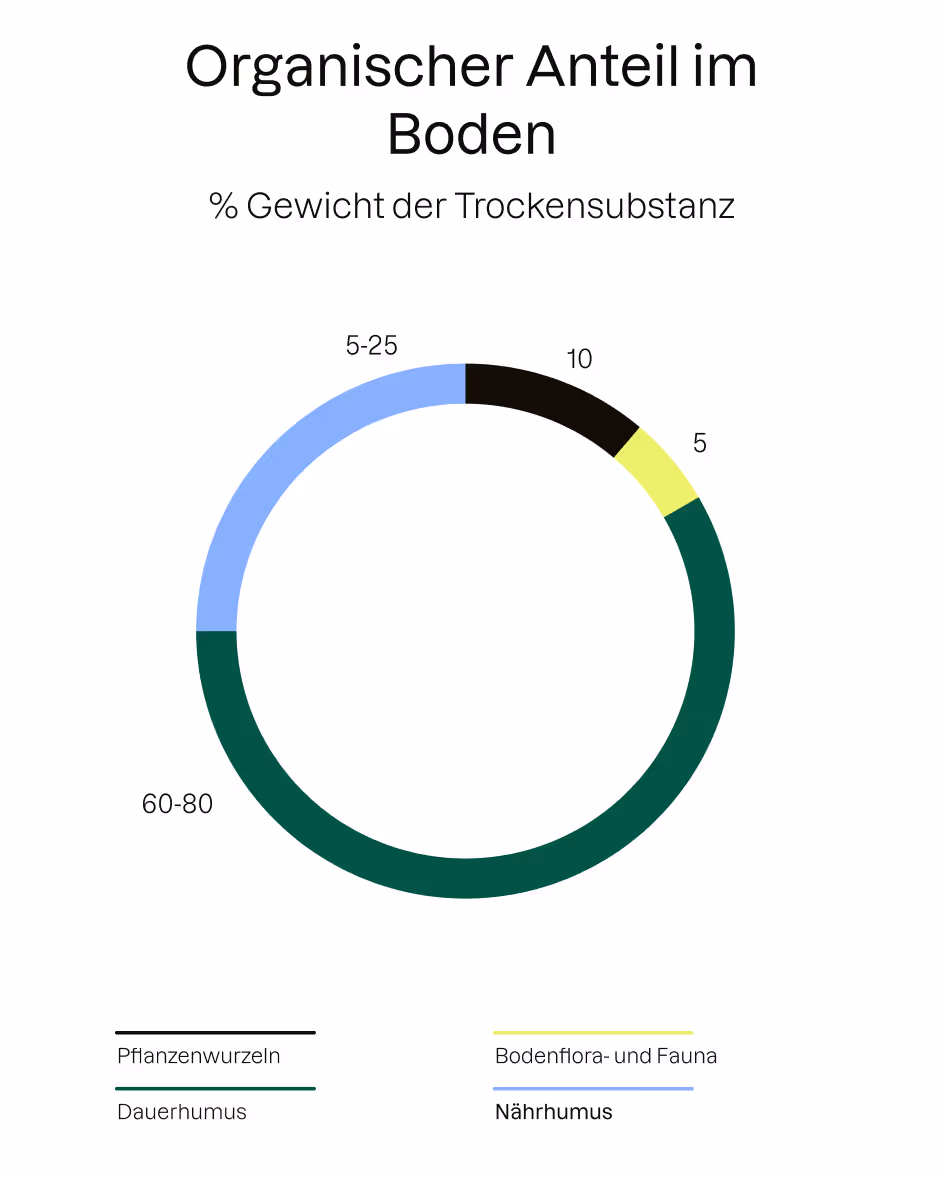 Kreisdiagramm: Anteil an organischem Material im Boden