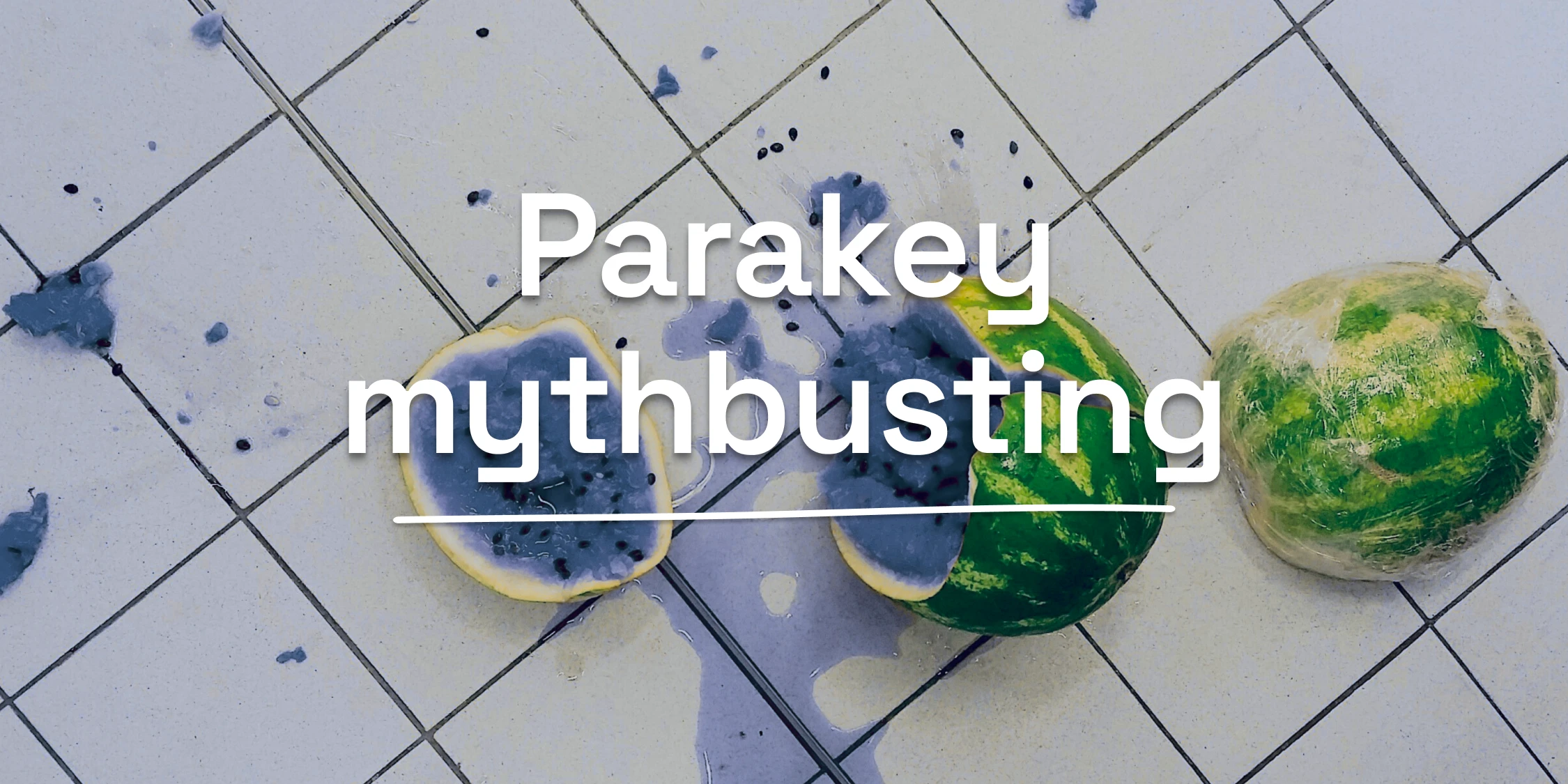 Två vattenmeloner krossade på ett kaklat golv med texten ‘Parakey mythbusting’ ovanpå.