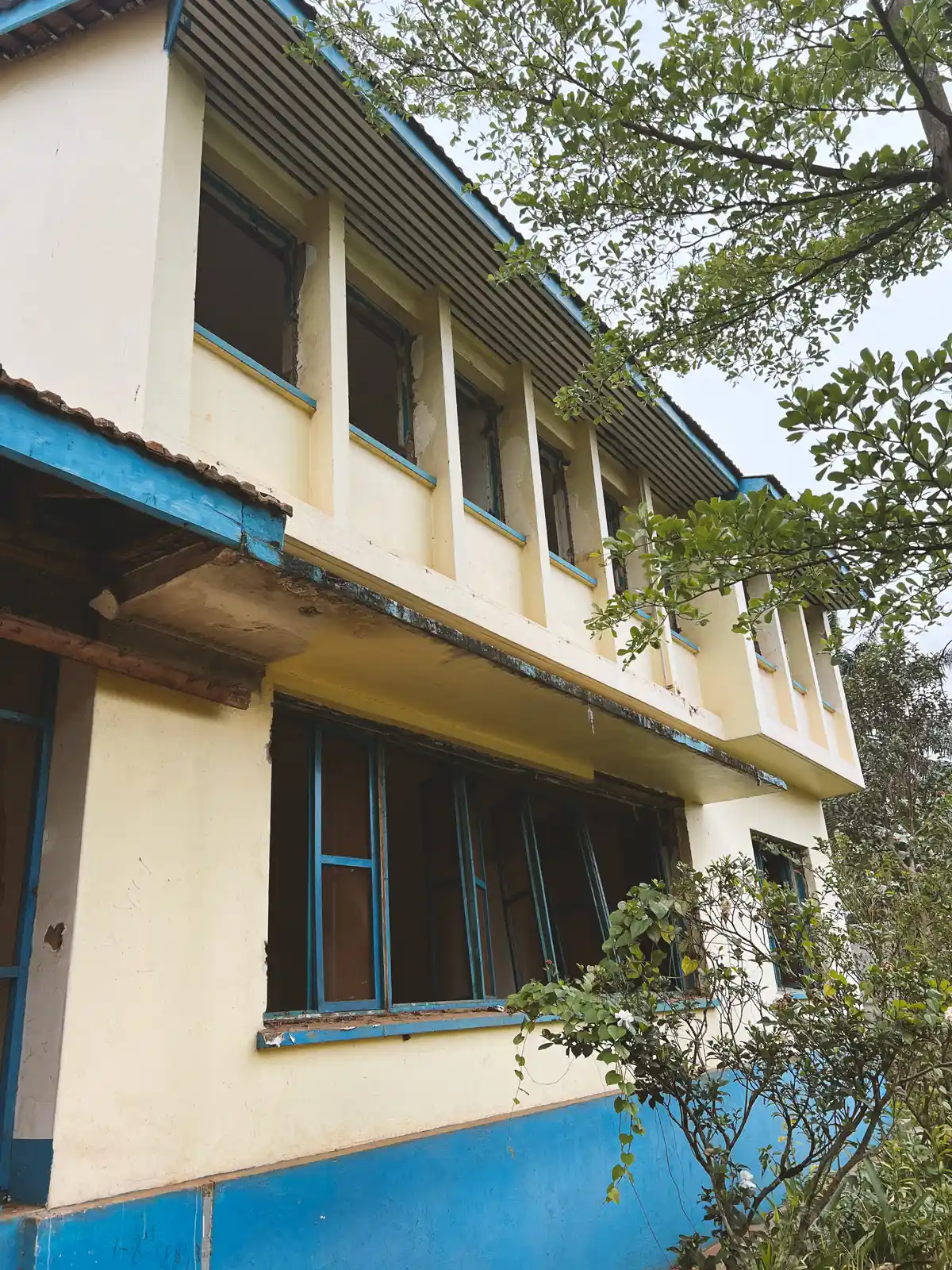 Two-story building with blue window frames and cream walls surrounded by green trees and plants. The Ark Preschool Kampala Uganda.