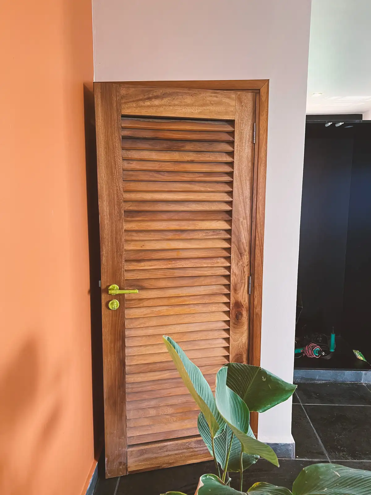 Wooden slatted door with a yellow handle set between an orange wall and a white wall, with green plant leaves in the foreground. Busalaba Residential Remodel in Kampala by Elevate Holdings Limited.
