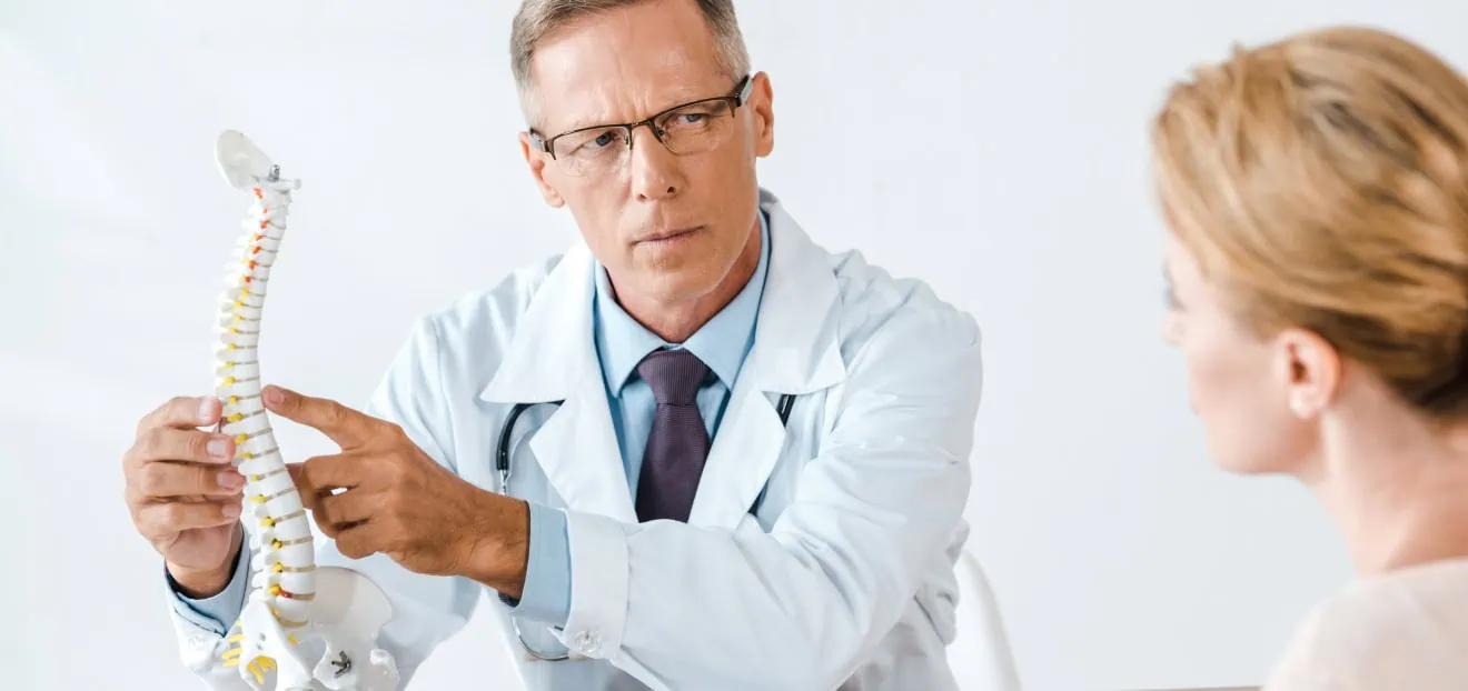 Arzt erklärt Patientin bei Bandscheibenvorfall wie lange Schmerzen auftreten können und zeigt am Modell der Wirbelsäule den Anulus Fibrosus