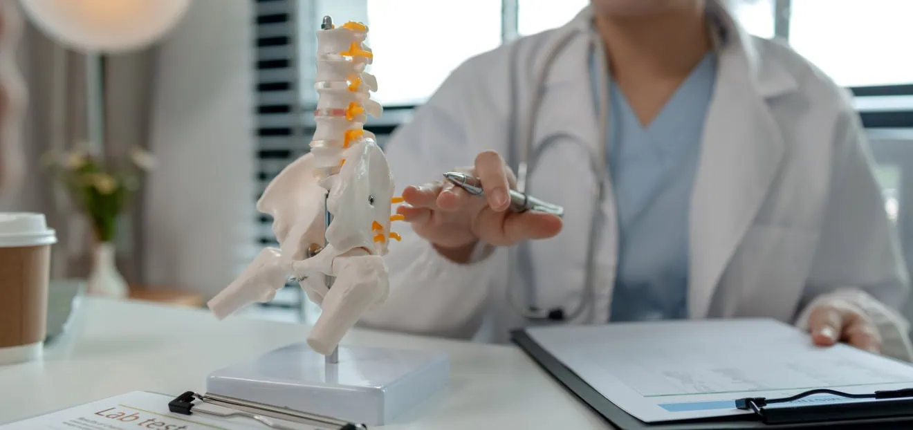 Bandscheibenvorfall und Bandscheiben - Arzt zeigt an einem Modell der Wirbelsäule wie ein Bandscheibenvorfall sich auswirkt
