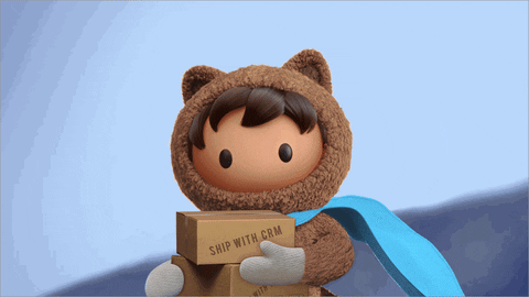 salesforce ecosystem