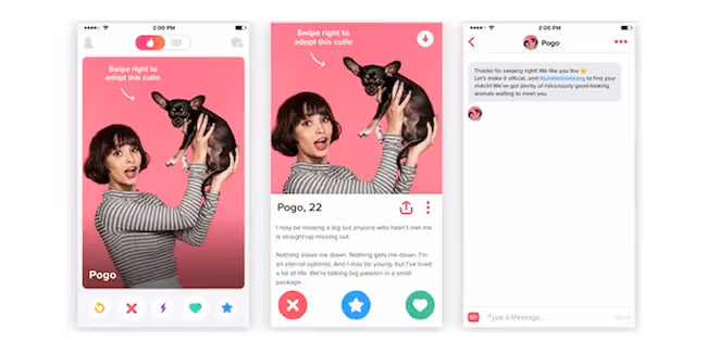 Tinder filter targeting example