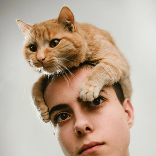 Kevel: Launch Custom Ad Servers 9x Faster