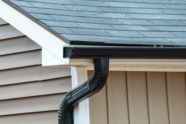 Gutters and Roof