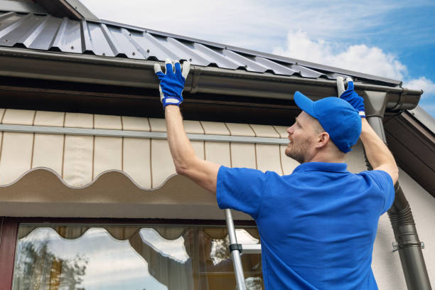Gutters and Roof