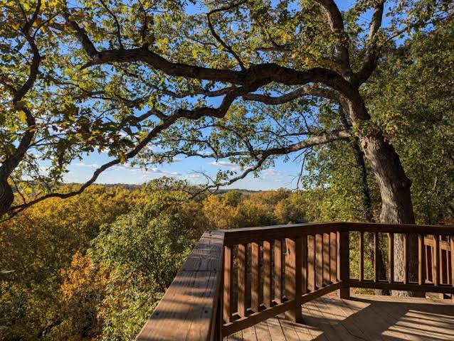 Why Homeowners Choose Metal Roofing for Long-Lasting Protection