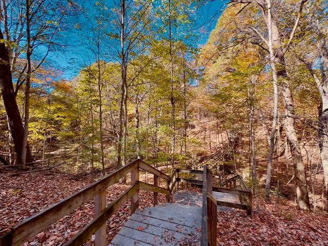 Wooden staircase winding through a forest with autumn leaves