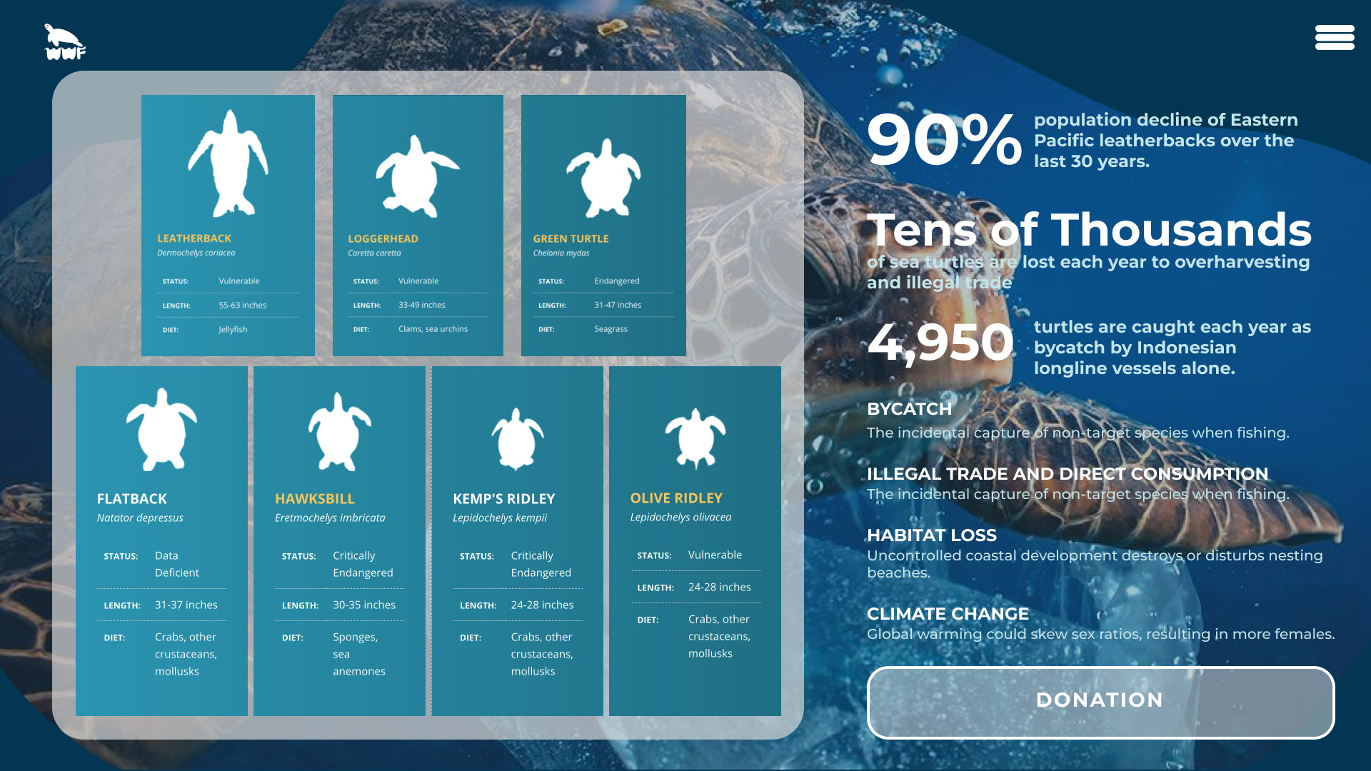 screenshot from each project