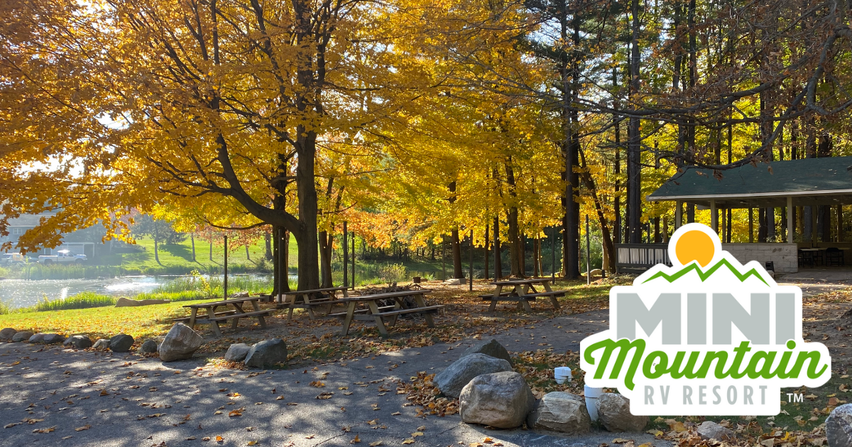 Mini Mountain Campground — photo 8