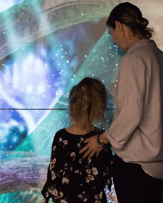 The Magic Forest at Starship