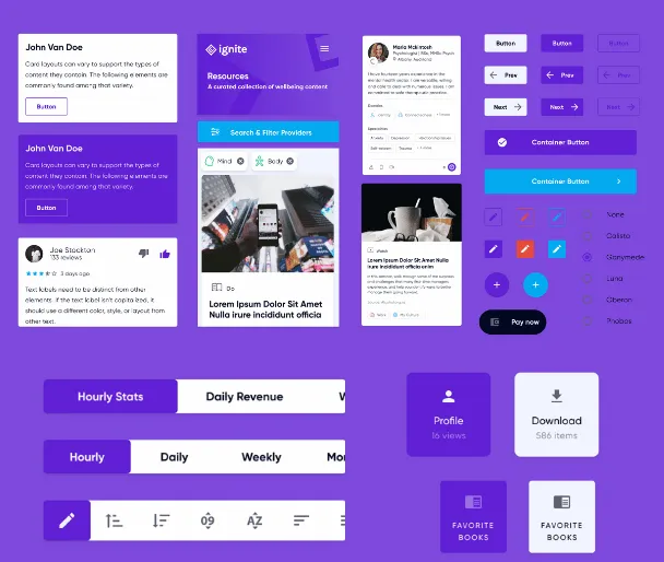 Screenshots of Ignite brand identity and UI