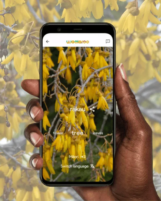 A hand holding a phone with Google Woolaroo taking a picture of a tree
