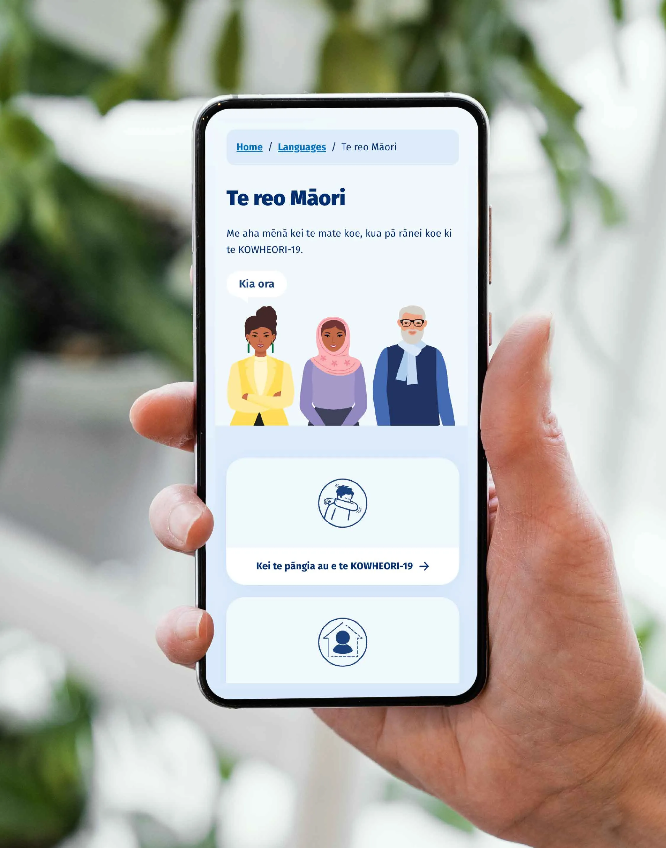 Hand holding phone showing Covid-19 Health Hub app 