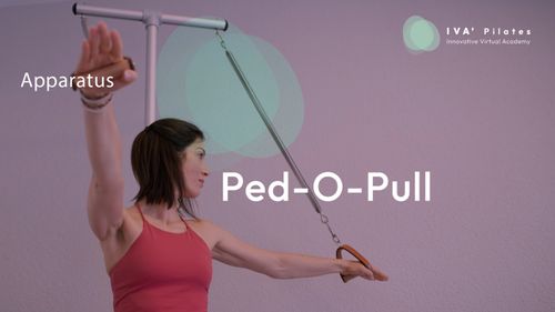 Ped-O-Pull