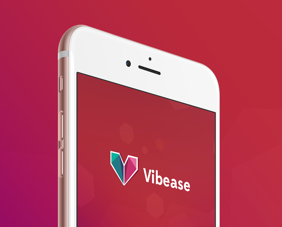 Vibease app login screen shown on an iPhone.