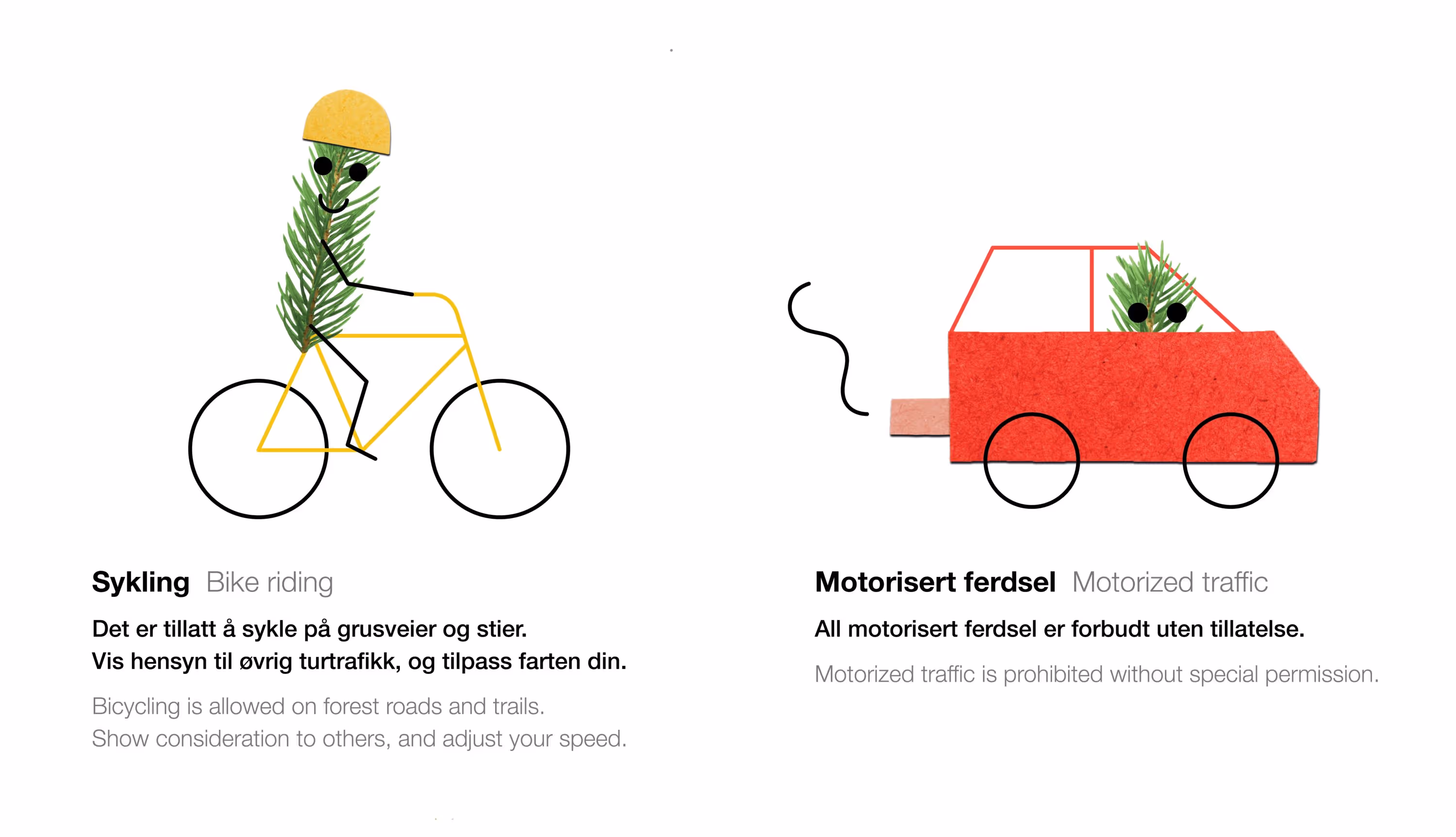 Illustration showing a pine needle character riding a yellow bike with a helmet, and another pine needle character driving a red car, comparing bike riding and motorized traffic rules.