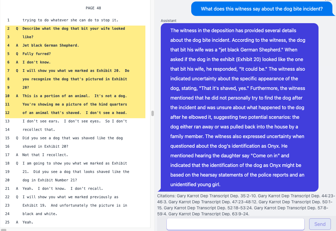 Deposition summary, created by Dodonai's software and screenshotted